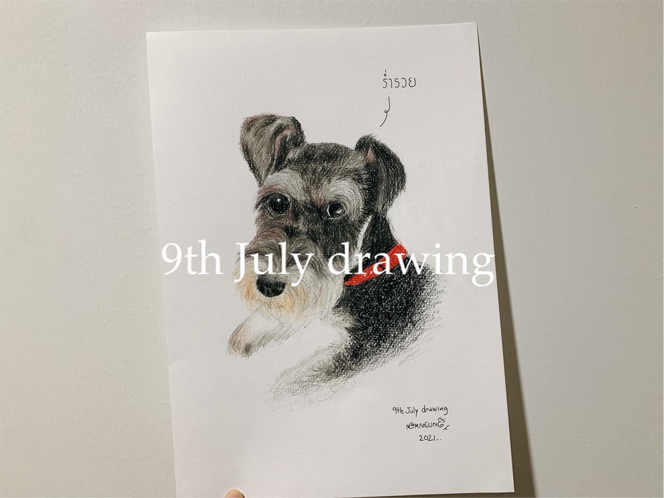 วาดภาพเหมือน Portrait - 9th July drawing : รับวาดภาพเหมือนสัตว์เลี้ยงตามสั่ง ภาพเหมือนสีไม้ - 9