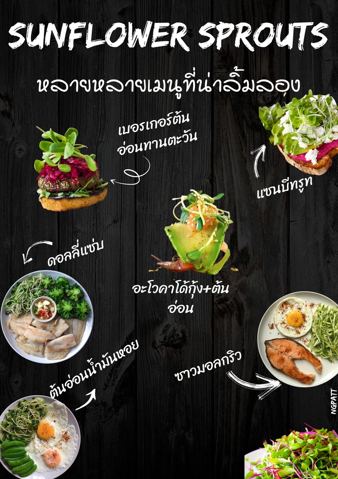 สื่อสิ่งพิมพ์และนามบัตร - เรียบหรู มีสไตล์ ในแบบของคุณ - 10