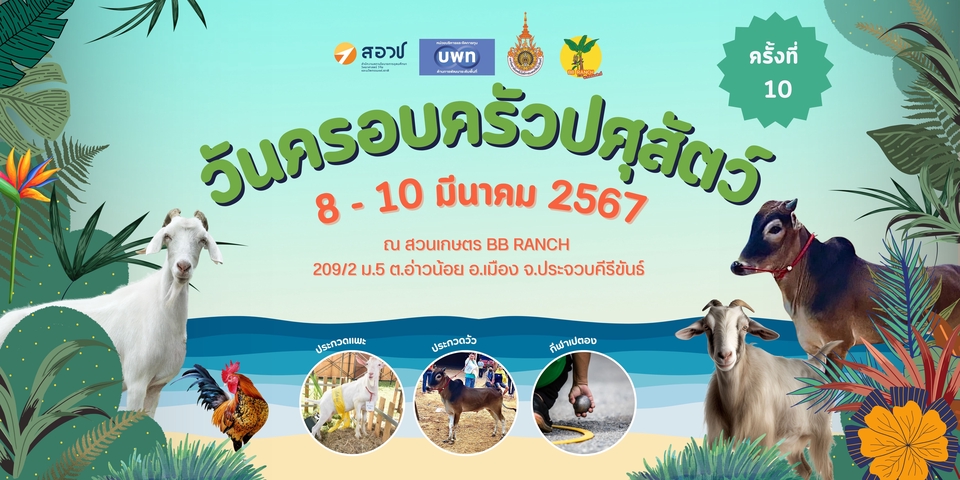 Banner โฆษณา - ออกแบบ Banner Ads และสื่อออนไลน์ต่าง ๆ - 4