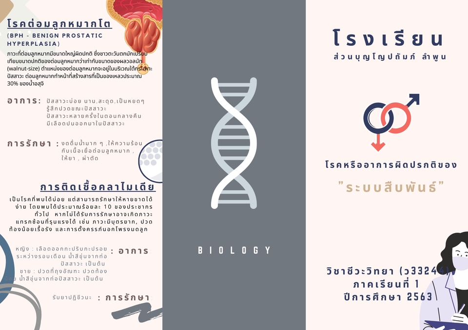 Infographics - รับออกแบบ Infographics ทุก style ตามใจคุณ - 5