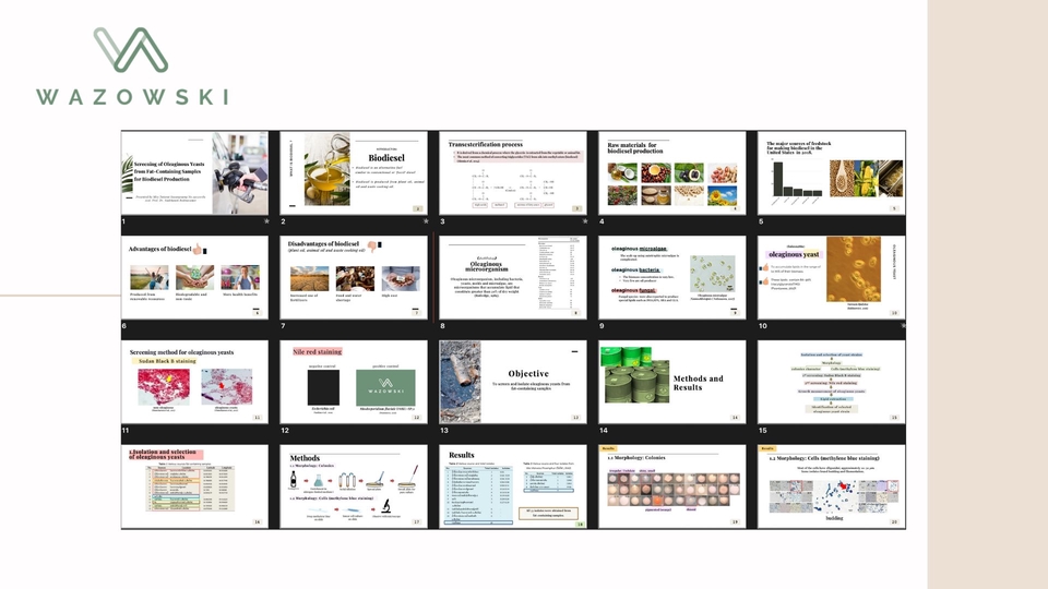 Presentation - ออกแบบ presentation รับงานด่วน 24 ชั่วโมง ! - 3