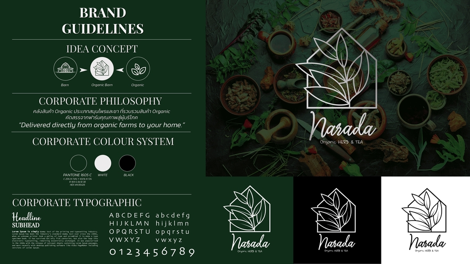 Logo - Logo Design | IDENTITY GUIDELINE - 4