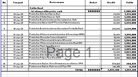 Akuntansi dan Keuangan - Jasa Finance Accounting Usaha atau Perusahaan Jarak Jauh - 1