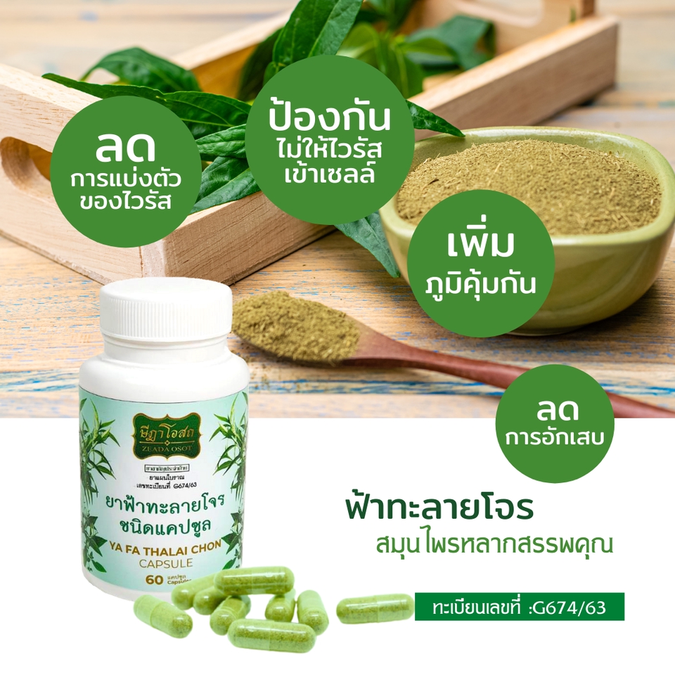 สื่อสิ่งพิมพ์และนามบัตร - รับทำ-ออกแบบแบนเนอร์ โปสเตอร์ ป้าย สื่งสิ่งพิมพ์ - 24