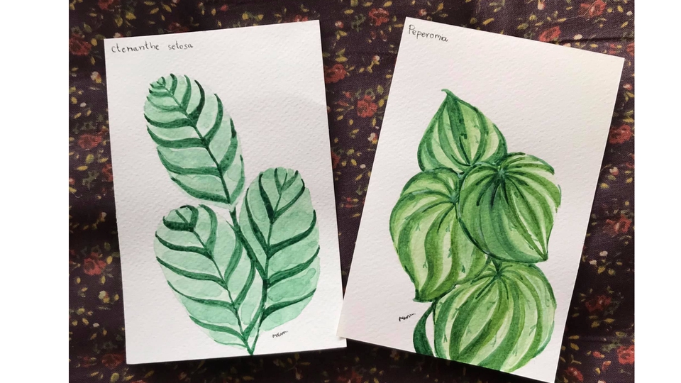วาดภาพประกอบ - รับวาดภาพประกอบหลากหลายเทคนิค - 11