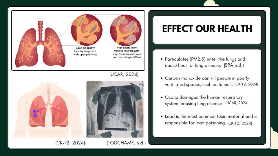 Presentation - ออกแบบ presentation canva  - 4