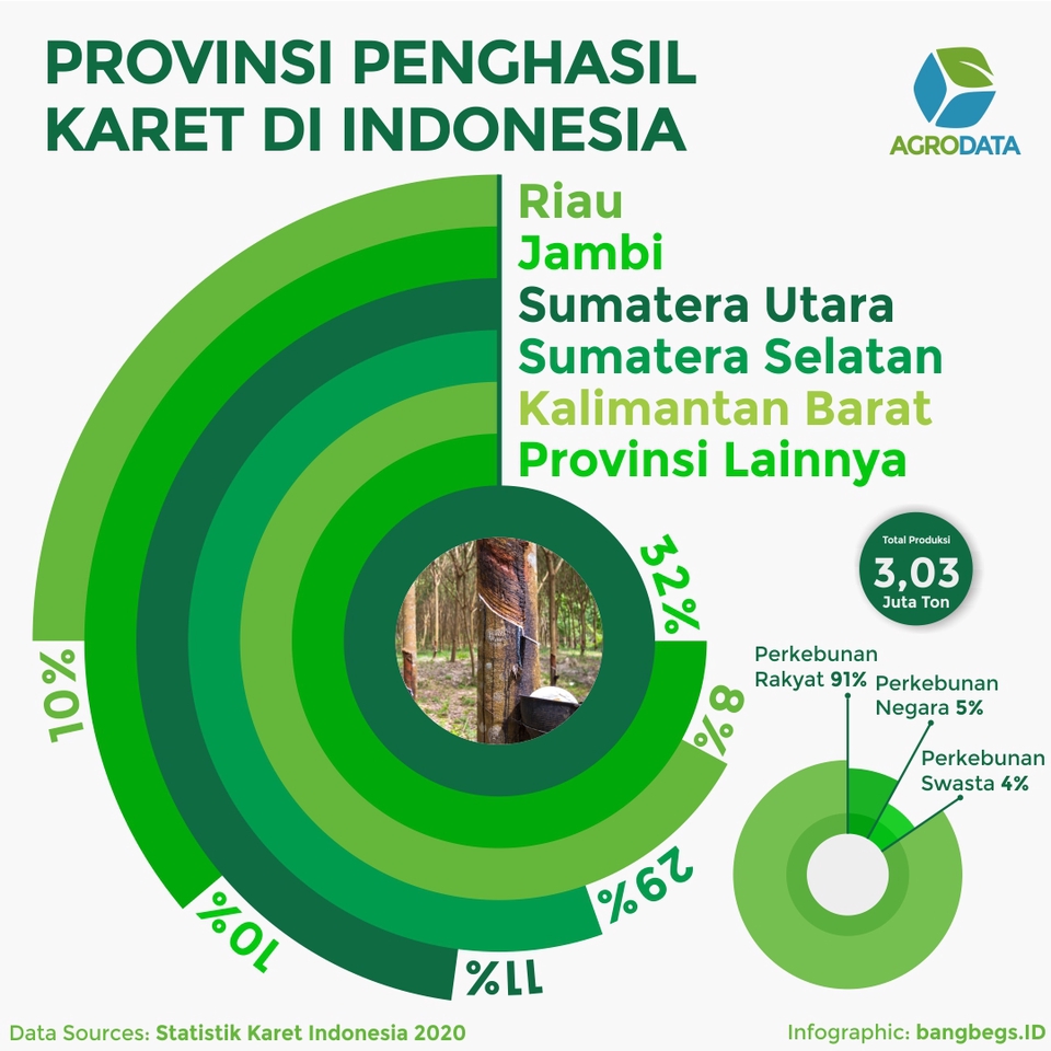 Infografis - Data Bercerita! Desain infografis +bonus copywriting - 12