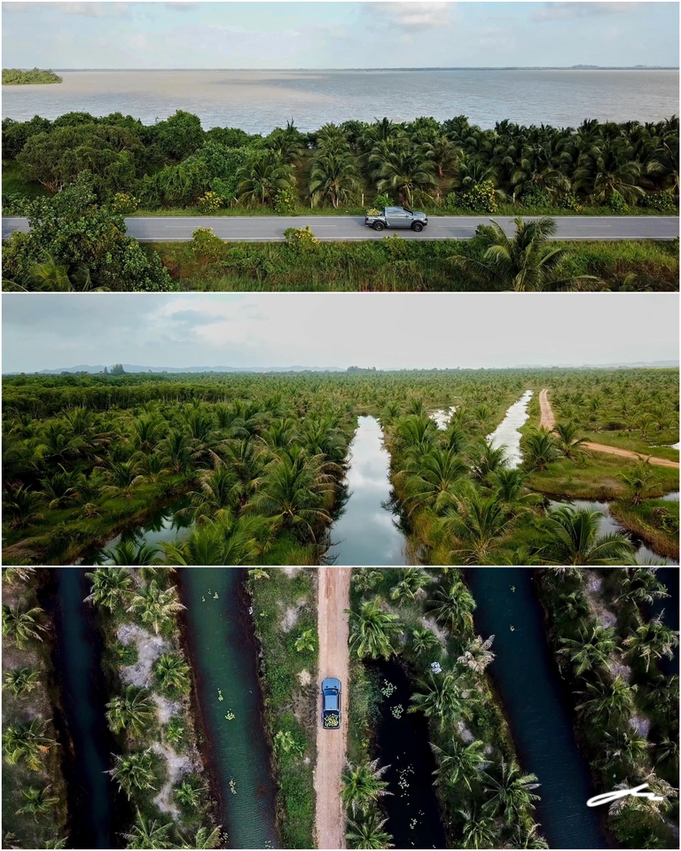 บริการถ่ายทำวีดีโอ รับตัดต่อวีดีโอ งานแต่งงาน งานอีเว้นท์ ถ่ายวีดีโอพรีเซนต์