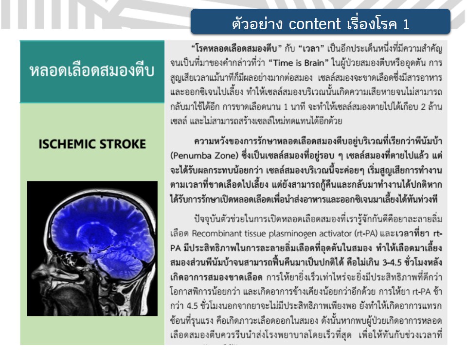 เขียนบทความ - บทความสุขภาพ โรค ยา สมุนไพร วิตามิน อาหาร(คุณภาพ) - 5