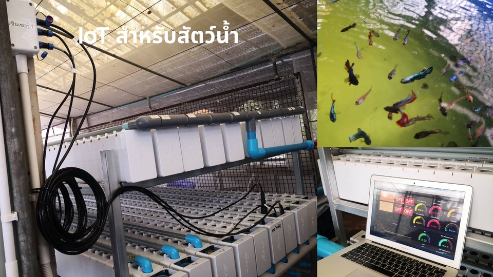 ระบบ IoT สำหรับการควบคุมการเลี้ยงปลา