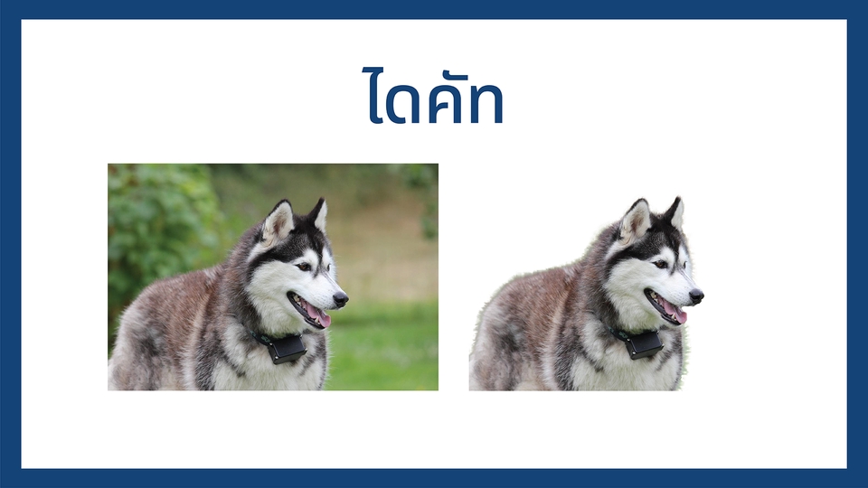 ไดคัท & Photoshop - รับงาน ไดคัท ตัอต่อ รีทัช งานสวยเนียนกริ๊บ การันตี - 4