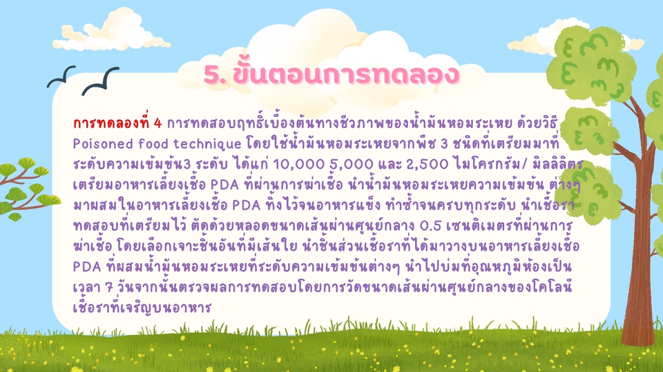Presentation - งานนำเสนอ  - 13