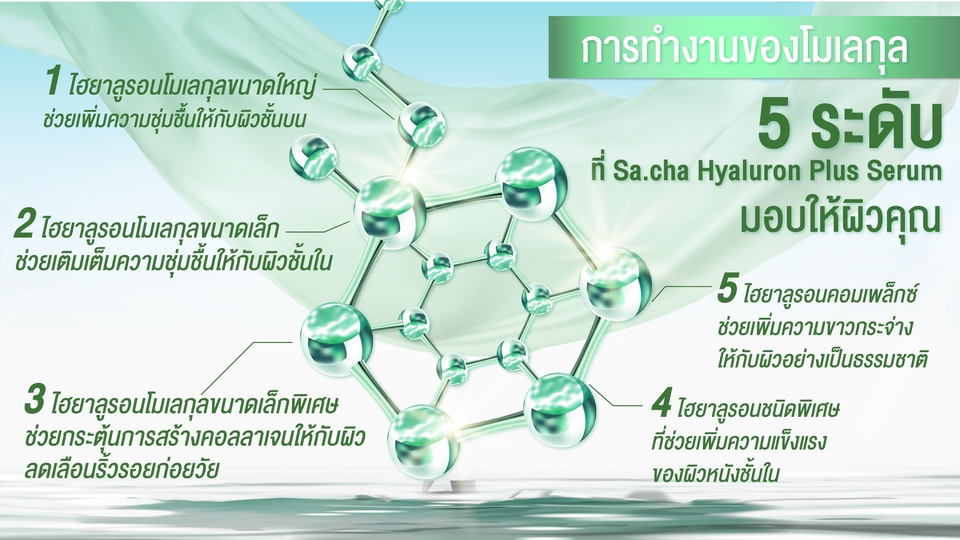 รับทำ motion graphic รับทำโมชั่นกราฟิก โมชั่นอินโฟกราฟิก สร้างกราฟิกเคลื่อนไหว ออกแบบกราฟิกเคลื่อนไหว sa.cha hyaluron plus serum โฆษณา 5 ขั้นตอน