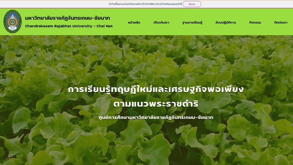 Web Development - รับสร้างเว็บไซต์ด้วย wix.com - 1