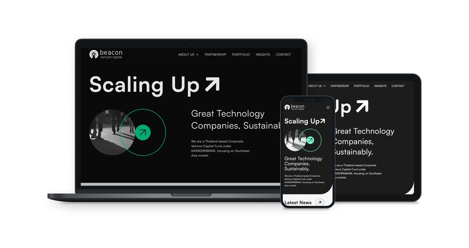 Web Development - Creative Web Developer - Crafting Unique Online Experiences - 5