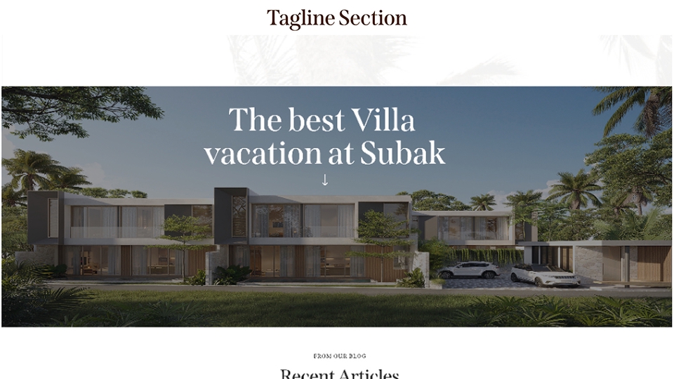 Web Development - Wordpress Custom Theme - 10