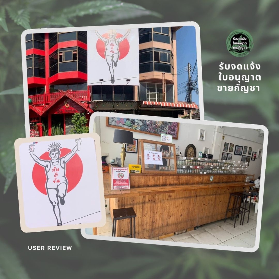 รับปรึกษาวางกลยุทธ์ startup ธุรกิจร้านอาหาร พร้อมบริการสินเชื่อ sme และคำแนะนำในการทำธุรกิจ ร้านค้าขายกัญชา ที่ปรึกษาธุรกิจ วางแผนธุรกิจ ทำ feasibility study