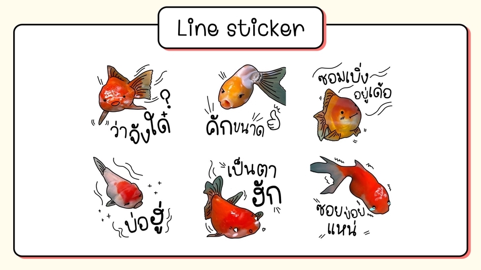 ออกแบบ LINE Sticker - สติ๊กเกอร์ไลน์จากรูปถ่าย sticker lineรูปตัวเอง/เพื่อน/สัตว์เลี้ยง/อื่นๆ - 4