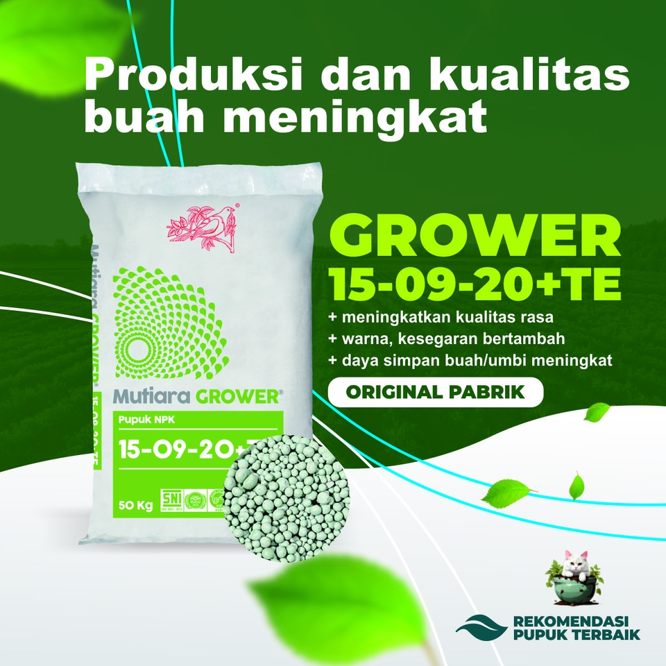 Pupuk Grower 15-09-20+TE untuk meningkatkan kualitas rasa dan warna buah serta memperpanjang daya simpan - Original Pabrik