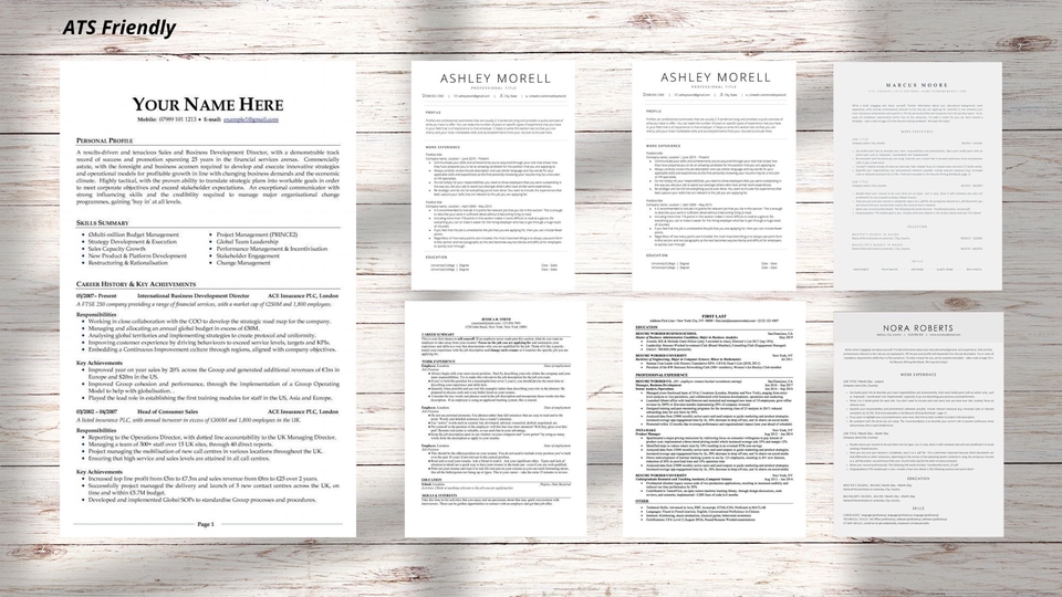 Portfolio & Resume - PROFFESIONAL CV, CV CREATIVE, CV ATS FRIENDLY, PORTOFOLIO DESIGN & REVIEW CV - 6