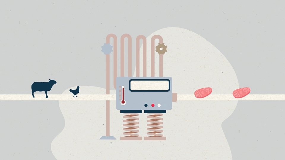 Motion Graphics - Motion Graphic / 2D Animation งานสวย เร็ว คุณภาพดี - 4