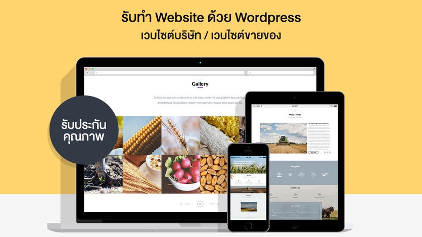 Wordpress - รับทำเว็บไซต์ - 1