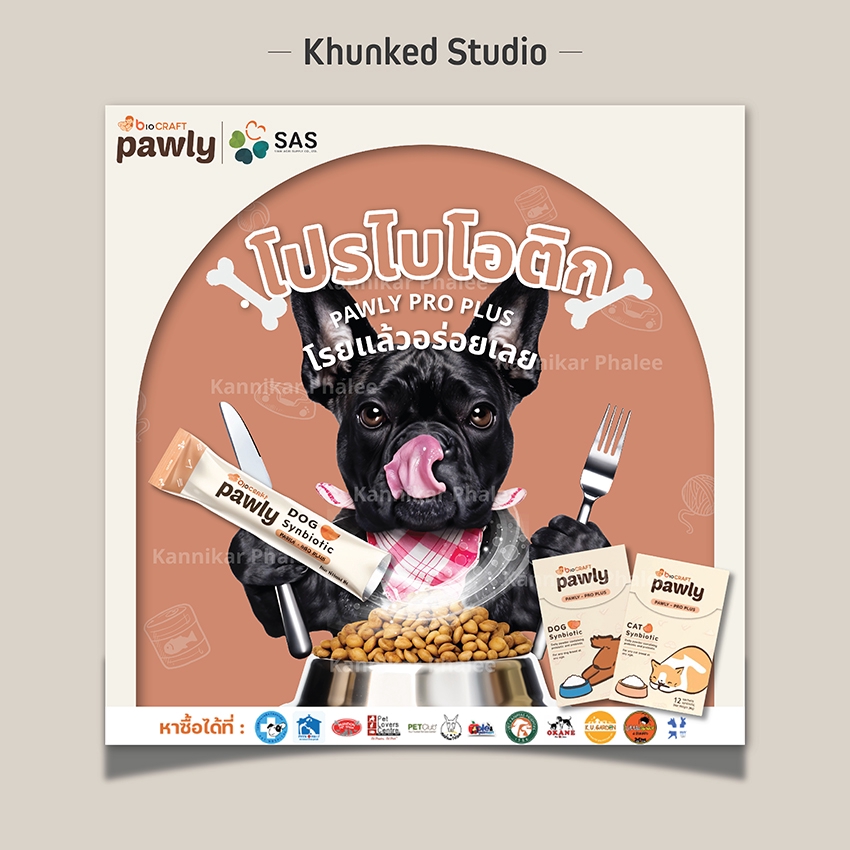 ออกแบบแบนเนอร์ โฆษณา Pawly Pro Plus อาหารสุนัข และ สัตว์เลี้ยง banner pawly รับออกแบบ banner facebook ออกแบบ banner website banner ออนไลน์