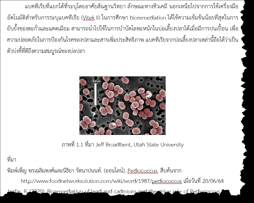 เขียนบทความ - หาข้อมูลและเขียนบทความ - 2