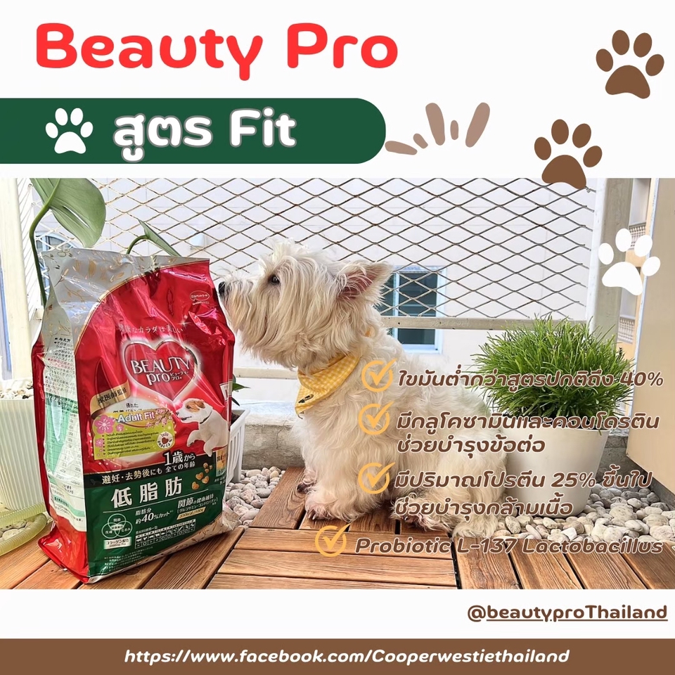 เน็ตไอดอลและบล็อกเกอร์รีวิว - รับรีวิวสินค้าและอาหารสัตว์เลี้ยง - 5