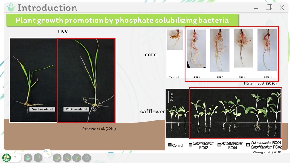 Presentation - ออกแบบ Presentation ด้วยโปรแกรม PowerPoint - 9