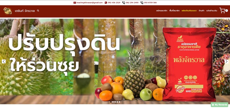 Wordpress - รับทำเว็บไซต์ด้วย Wordpress มี 3 แพคเกจ : Sale Page ,เว็บไซต์ทั่วไป,และเว็บไซต์ที่รองรับ E-commerce - 9