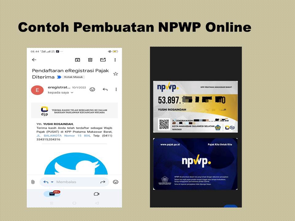 Jasa data entry online, contoh pembuatan NPWP online untuk input data