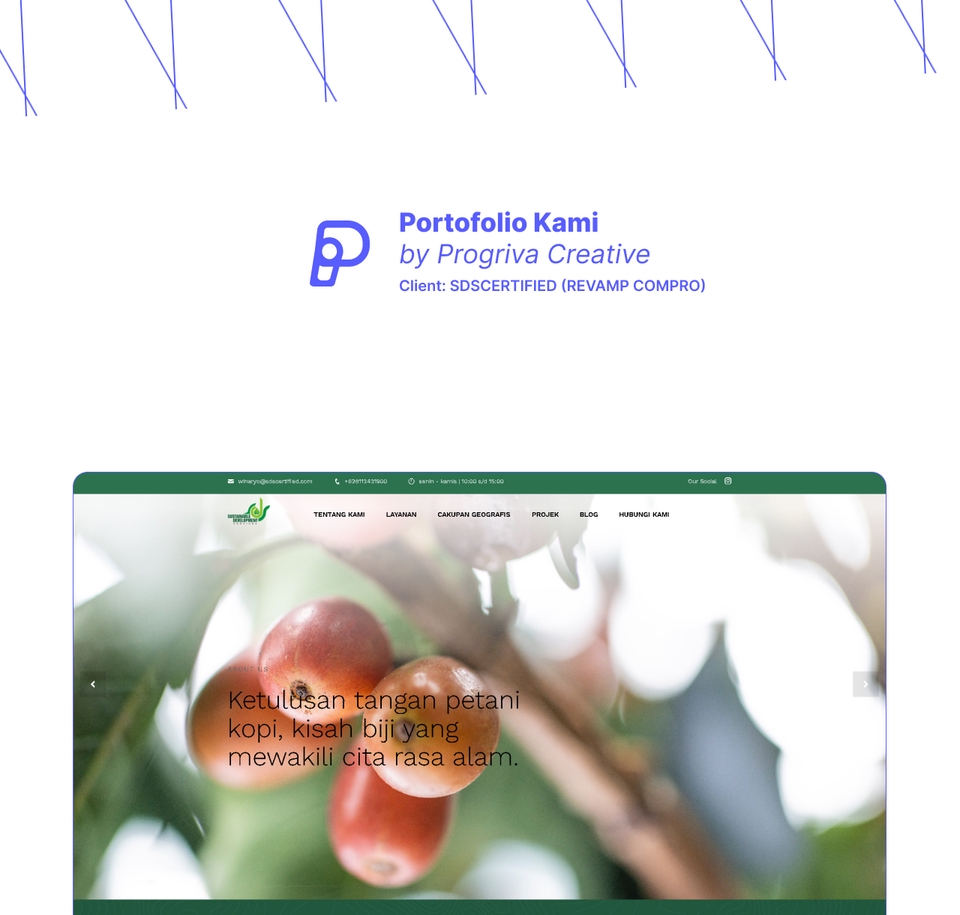 Web Development - Jasa Pembuatan & Maintenance Website - 4