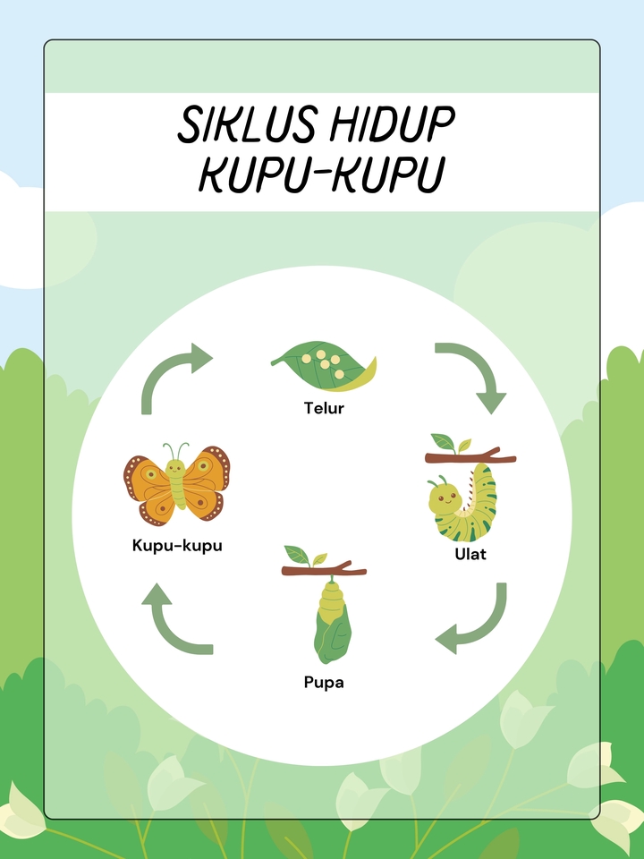 Digital Printing - Jasa Pembuatan Worksheet Lembar Kerja Siswa Flash Card PG TK SD SMP SMA - 8