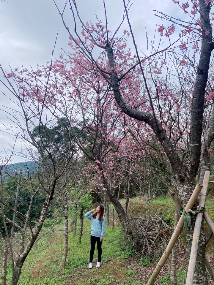 วางแพลนเที่ยว - วางแพลนเที่ยวไต้หวันโดยคนที่อาศัยอยู่ไต้หวันโดยตรง - 3