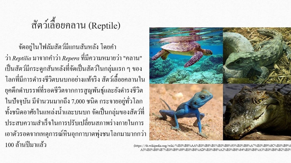 พิมพ์งาน และคีย์ข้อมูล - รับพิมพ์งานเอกสาร ทำสไลด์ - 1