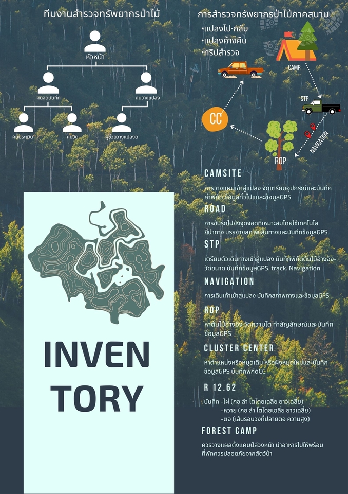 Infographics - Infographics - 3