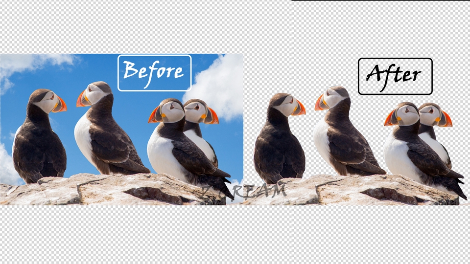 รับแต่งรูปภาพ นกทะเล พัฟฟิน บนหน้าผา สวยๆ แต่งรูปให้สวย รับทำโฟโต้ชอป