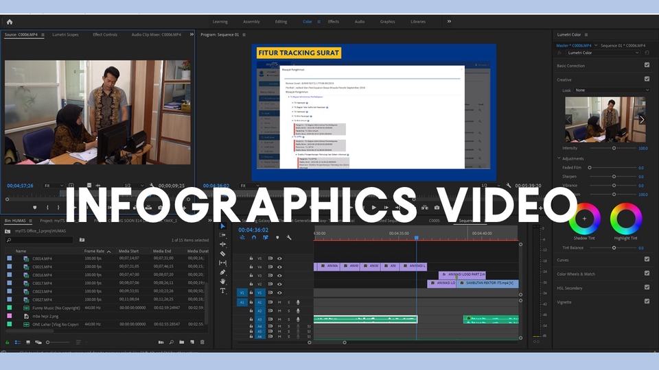 Video Editing - VIDEO EDITING EXPERT FOR YOUTUBE, INSTAGRAM, WEDDING, INFOGRAFIS ANIMATION - 2