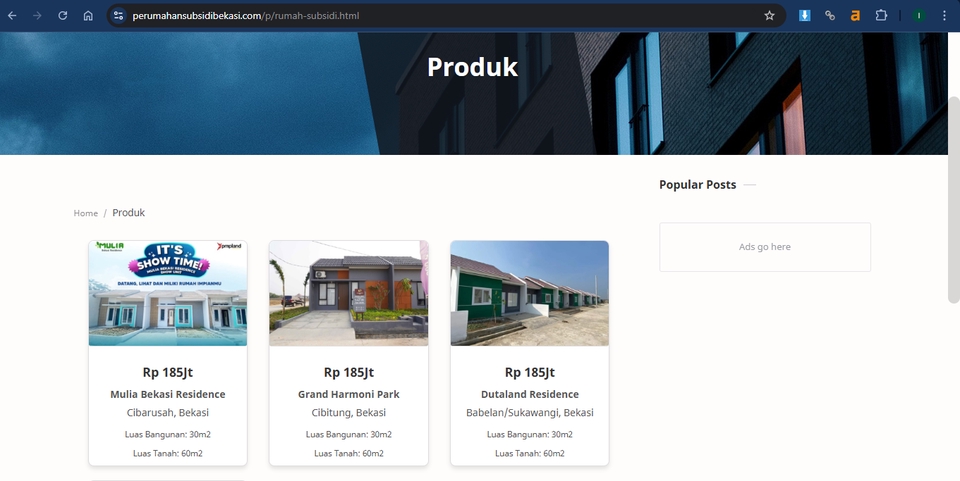 Jasa pembuatan website profesional untuk perusahaan, company profile dan toko online.