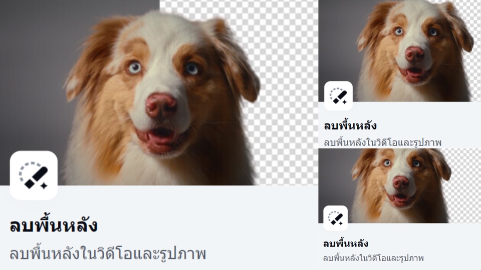 รับตัดต่อภาพ รับแต่งรูปภาพ รับแก้ไขภาพ รับทำ photoshop รับทำโฟโต้ชอป รับรีทัชภาพ ปรับแสงรูปภาพ ปรับภาพให้ชัด สวยงาม รับไดคัท ภาพสุนัข สวย ขาวดำ สี ถ่ายภาพ ภาพถ่าย ภาพสวย