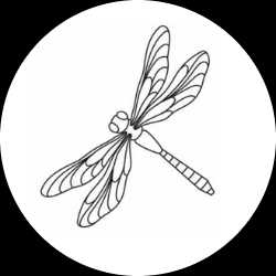 D.Rewadee