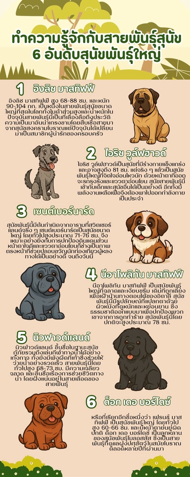 รับทำอินโฟกราฟฟิค ขนาดเล็ก ขนาดกลาง ขนาดใหญ่ ราคาถูก 6 ขนาดน่ารักน่าหยิบ