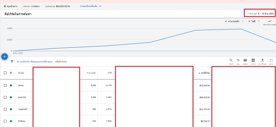 Google ads & Youtube ads - รับยิง Google Ads สายเทา และสายขาว - 3