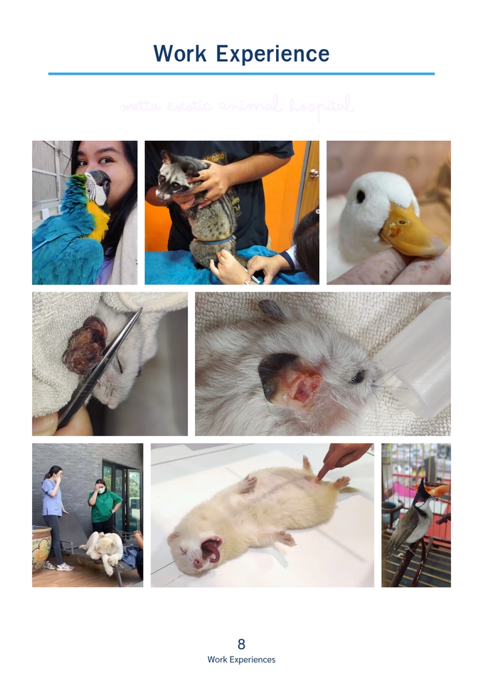 อื่นๆ - 🎓📄 รับทำ Resume / CV / Portfolio สายวิทยาศาสตร์สุขภาพ | มืออาชีพ เข้าใจงาน เข้าใจคุณ! - 16