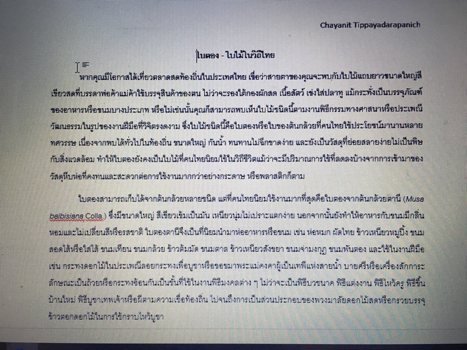 พิมพ์งาน และคีย์ข้อมูล - รับพิมพ์เอกสาร word ทั้งด่วนและไม่ด่วนค่ะ  - 3