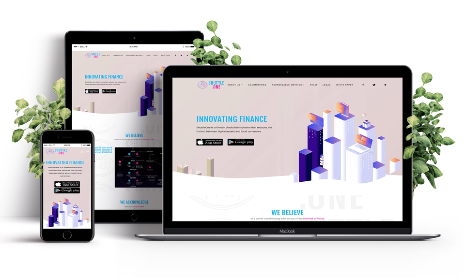 Web Development - E-commerce Responsive Website - 7