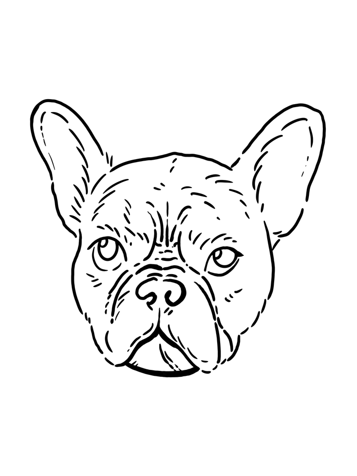 ออกแบบรอยสักสุนัข รอยสักเฟรนช์บูลด็อก ออกแบบ tattoo สุนัข