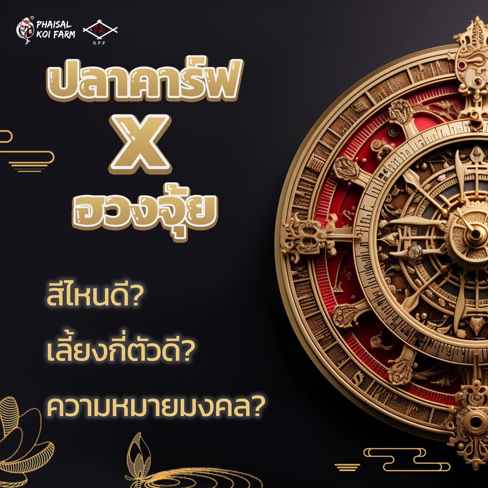 Banner โฆษณา - ออกแบบ Banner / Content Online/ ภาพโฆษณา ทางโซเชียล - 3