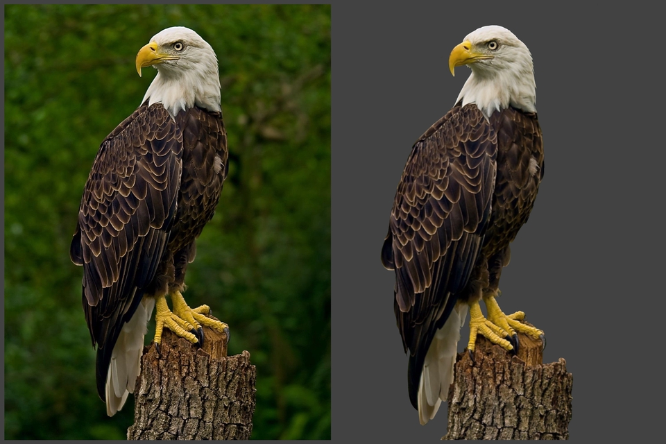 Hapus Latar Foto Remove Background of Photos